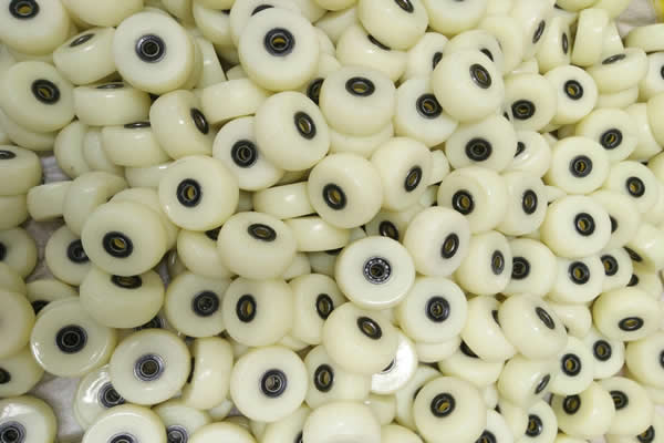 �����ֳ���